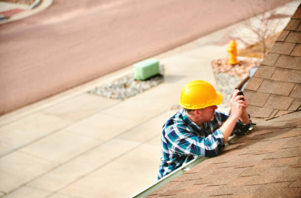 Roof Gutter Cleaning in Coon Rapids, IA