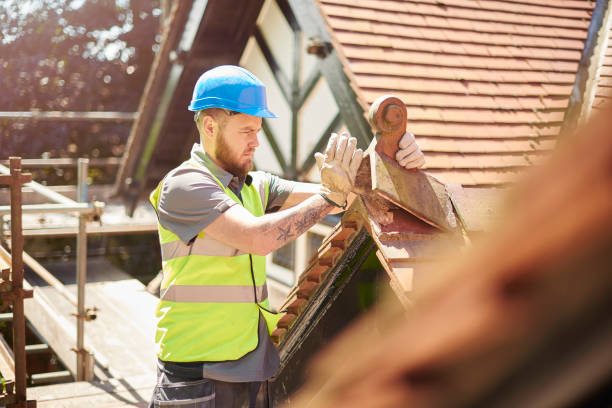 Professional Roofing Contractor in Coon Rapids, IA