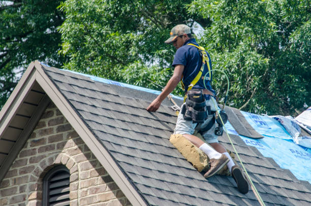 Best Roof Gutter Cleaning  in Coon Rapids, IA